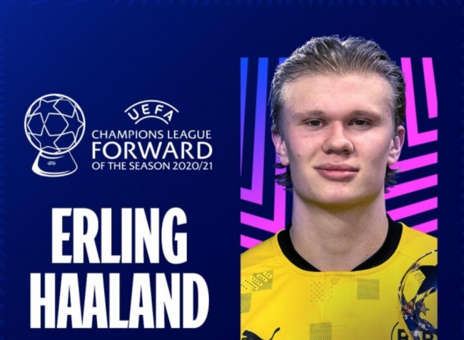 本是预算稀 本是预算稀